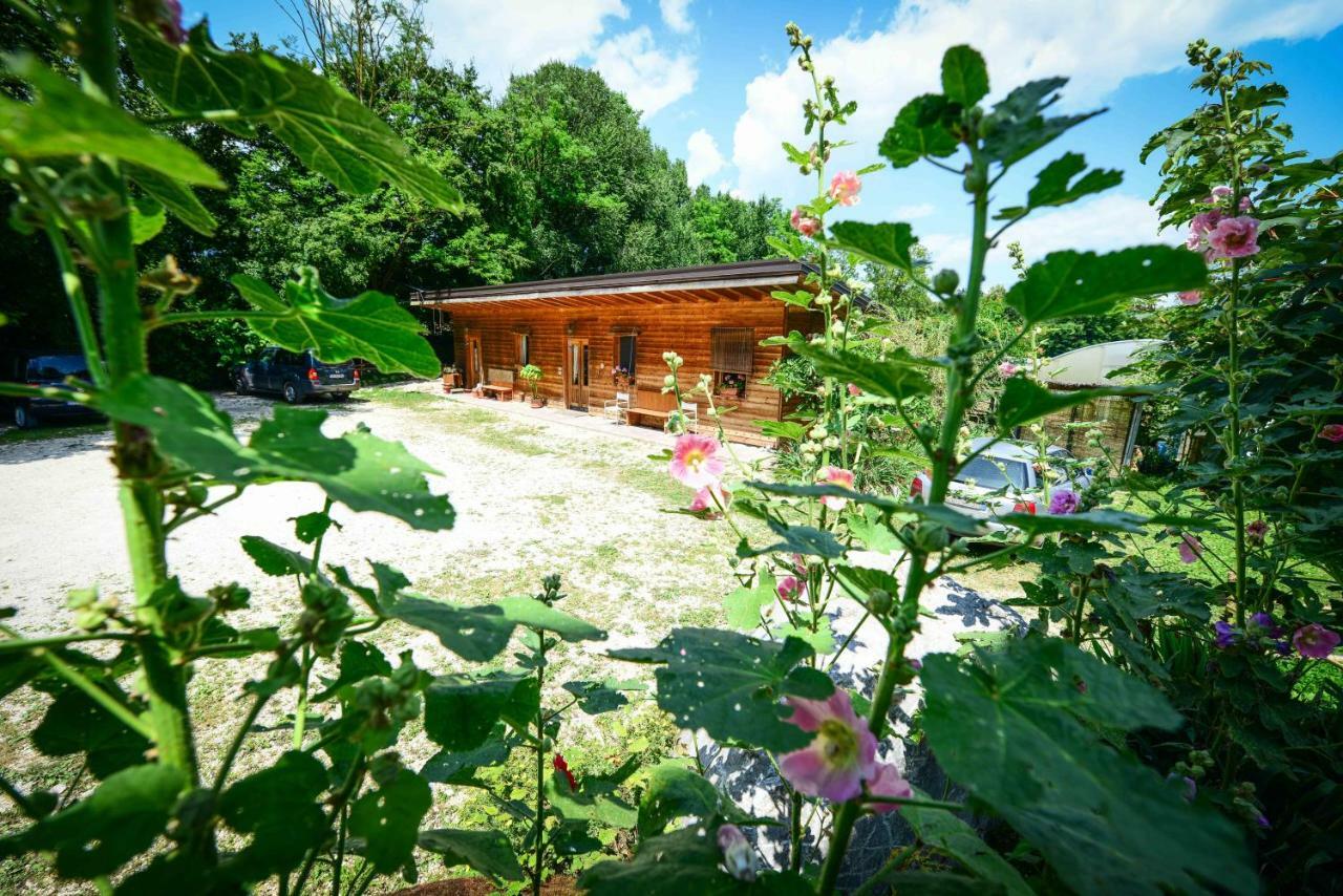 Bioagriturismo Vegan Campo Di Cielo Cesiomaggiore Экстерьер фото